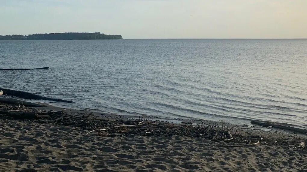 Свежий ветер на Обском море. Природа Новосибирской области. - YouTube