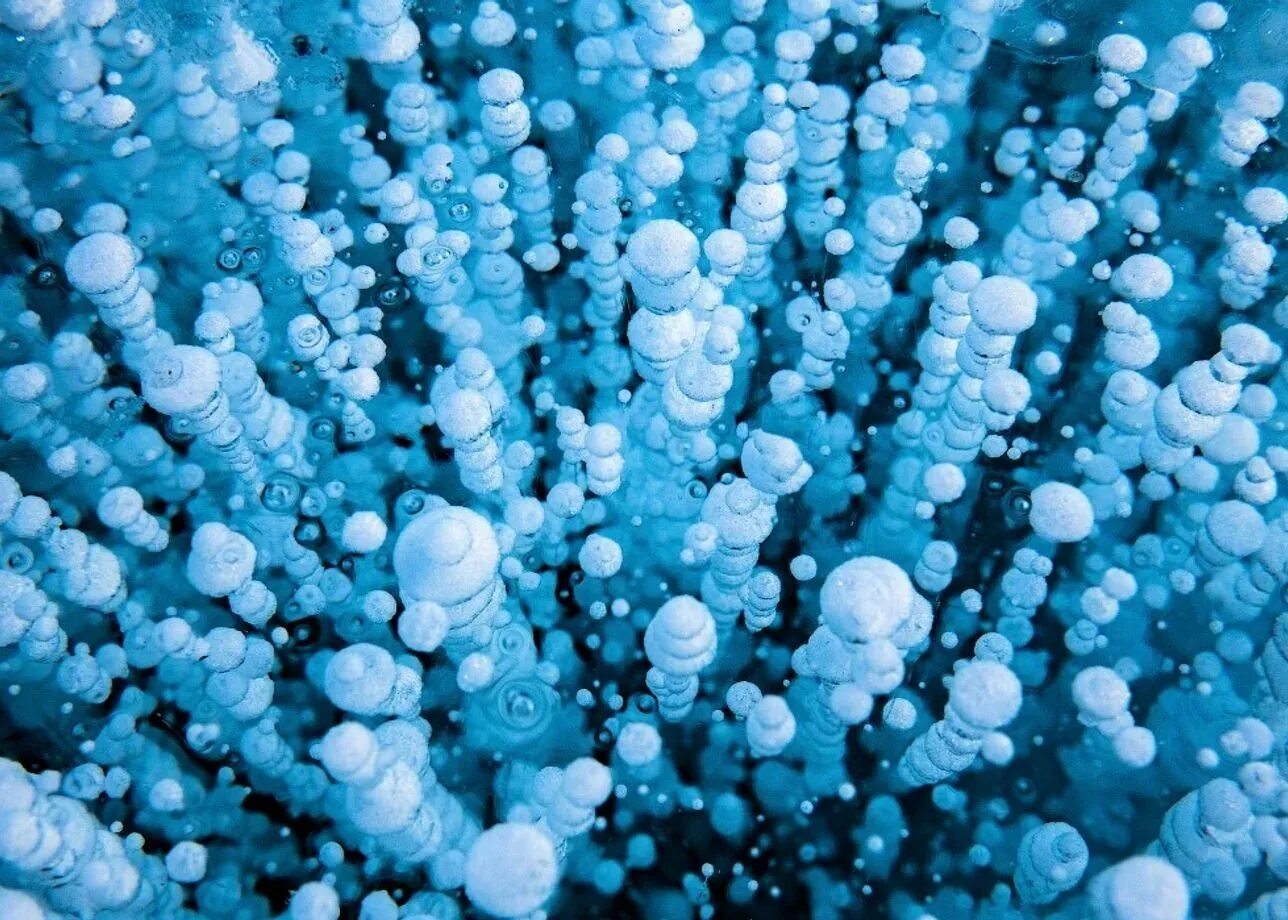 Пузырьки на байкале. Метановые пузырьки на Байкале. Лед с пузырьками на Байкале. Пузырьки на Байкале большое Голоустное. Большое Голоустное Байкал зимой пузырьки.