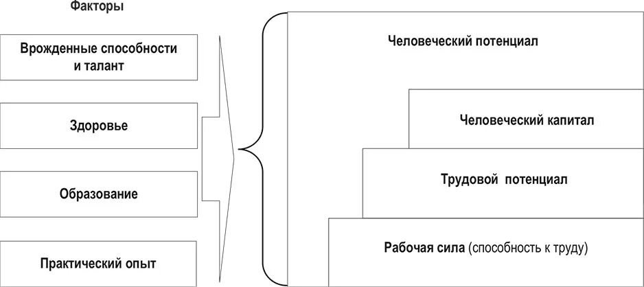 Человеческий потенциал человека. Взаимосвязь человеческого потенциала и человеческого капитала. Структура человеческого потенциала. Факторы развития человеческого капитала. Факторы формирования человеческого капитала.