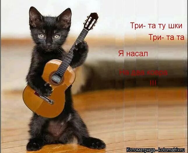 Три татушки три та та. Тритатушки тритата. Три татушки три та та. Тритатушки тритата воспитатель детского сада. Три татушки три та та.