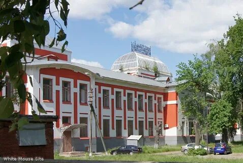 Клиники орехово зуево