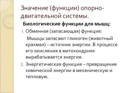 Опорно двигательная система человека выполняет функции
