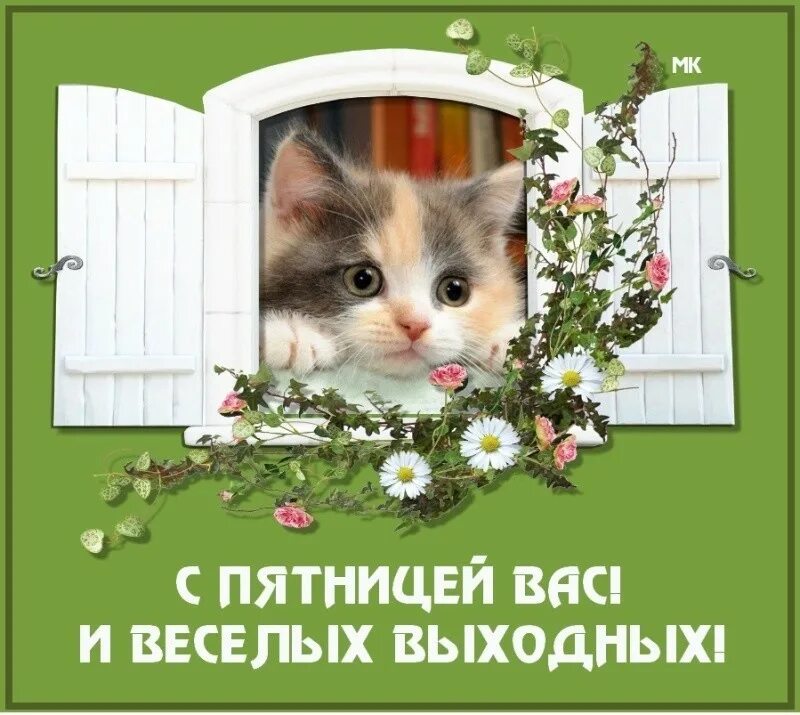 С пятницей и хороших выходных. Отличной пятницы. доброй пятницы. открытки с пятницей. с пятницей хороших выходных.