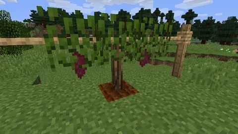 Simple farming
