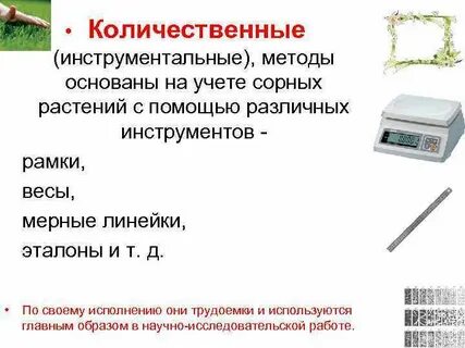Методы учета засоренности посевов