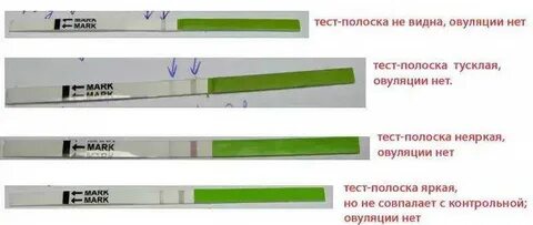 Видео дня тест