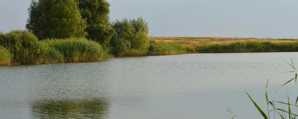 Гуляевка братская могила. Гуляевка волгоградская область. Фролово река арчеда. Гисметео гуляевка волгоградская область. Фролово волгоградская область.