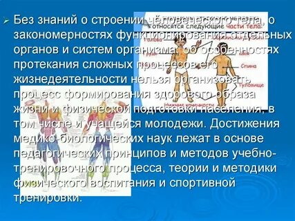 Наука о строении системы органов