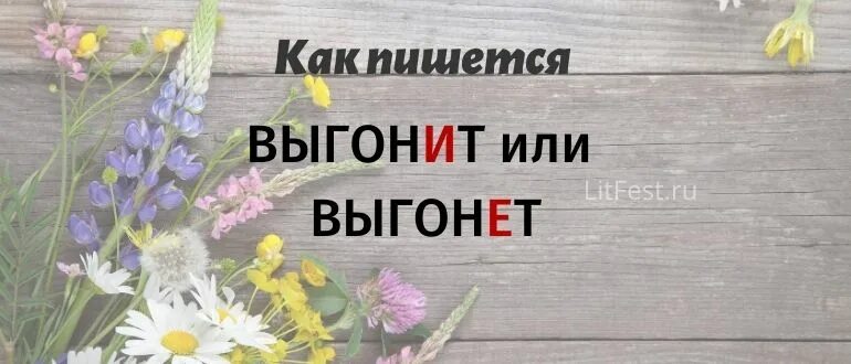 Почему януш прогнал из замка. Прогоне или прогоним. Побудило. Значение слова заставить. Прогоне или прогоним.
