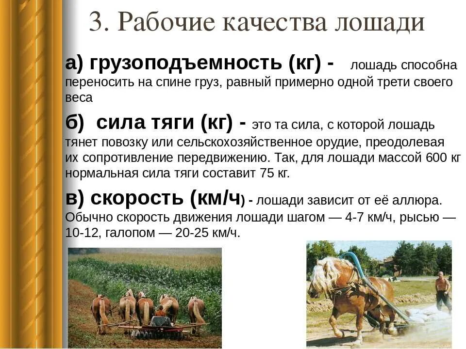 Определите работу лошади везущей равномерно. Показатели рабочей продуктивности лошадей. Рабочая продуктивность лошадей. Рабочая производительность лошадей. Рабочие качества лошадей.