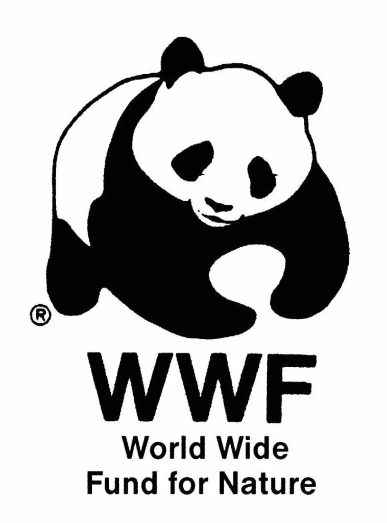 Фонд природы символ. Всемирный фонд дикой природы WWF. Панда Всемирный фонд дикой природы. Символ Всемирного фонда охраны дикой природы. Фонд дикой природы WWF логотип.