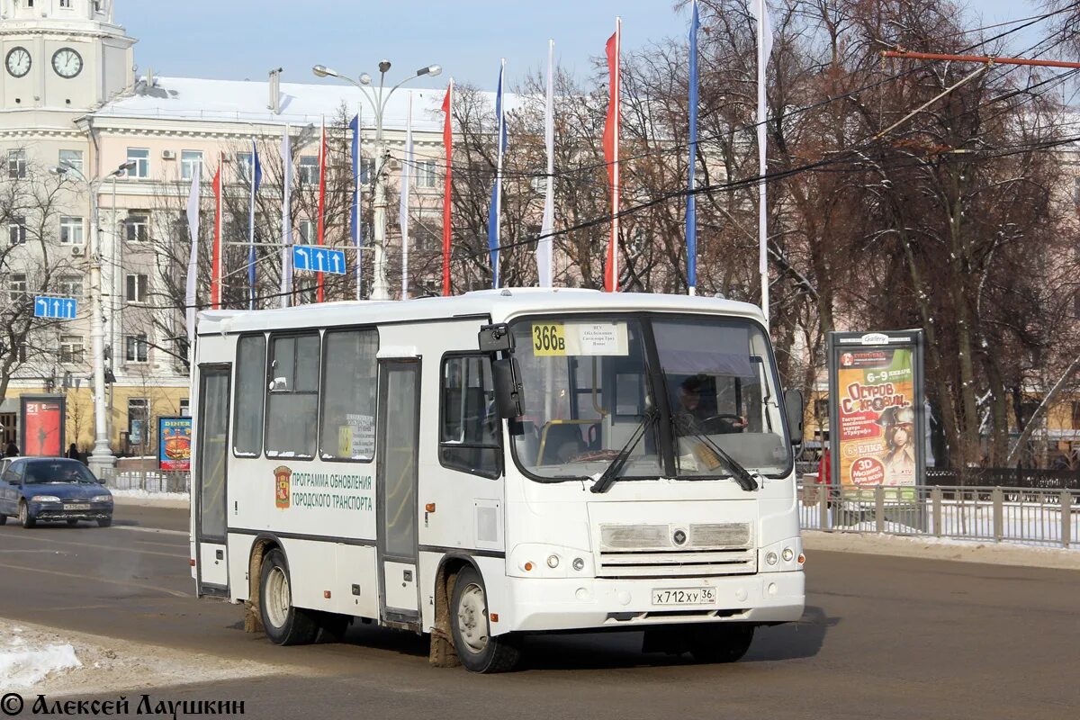 ПАЗ 320302-08. ПАЗ 320302 Анапа. Автобус 366д Воронеж. Маршрут 366а автобуса Воронеж.