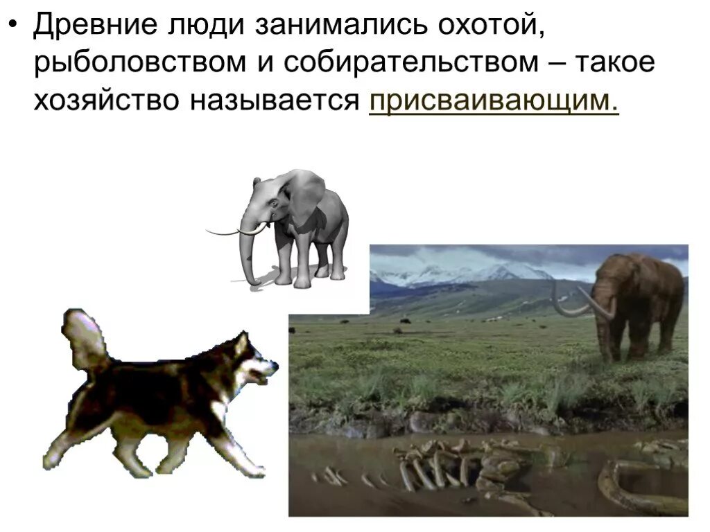 Так люди приспособились считать пользуясь тем что. Как люди приспосабливались к новым условиям жизни. как люди приспосабливались к новым условиям жизни фото. как люди заселяли землю проект. человек приспосабливается к окружающей среде.