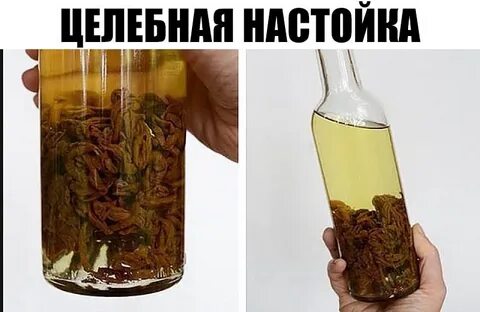 Бесконечный настой