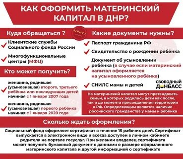 Пособие в лнр 2024