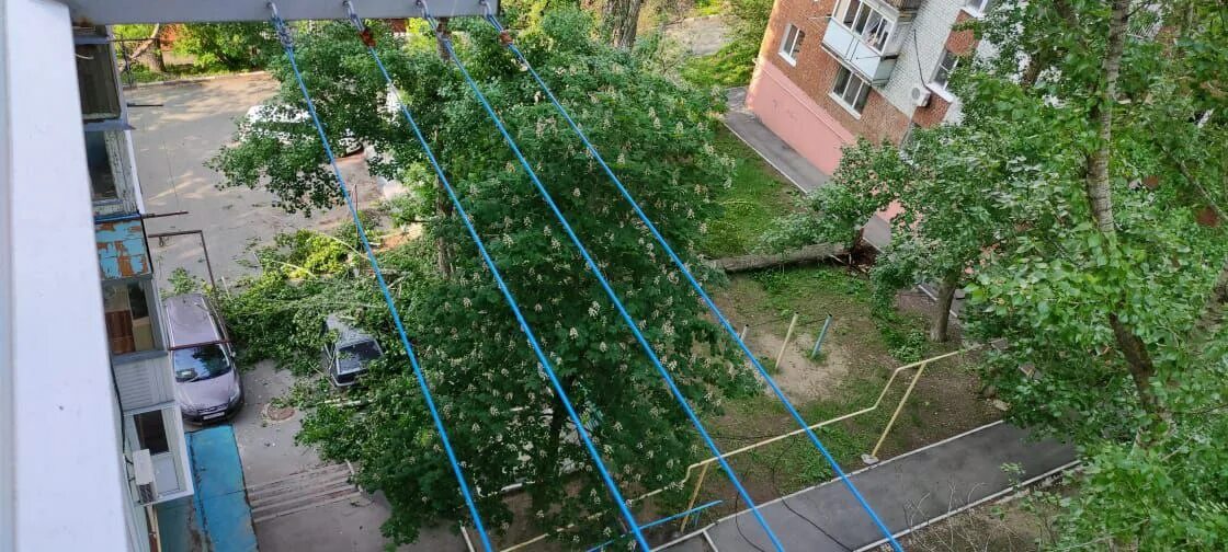 24 мая саратов. Горпарк Саратов упало дерево. Упало дерево в горпарке Саратов 2023. 9 Мая гор парк упало дерево Горпарк. Дерево девочка упало в Саратове Горпарк.