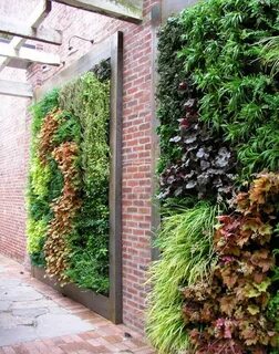 Garden wall