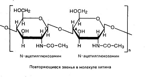 Фруктоза гликоген целлюлоза глюкоза крахмал