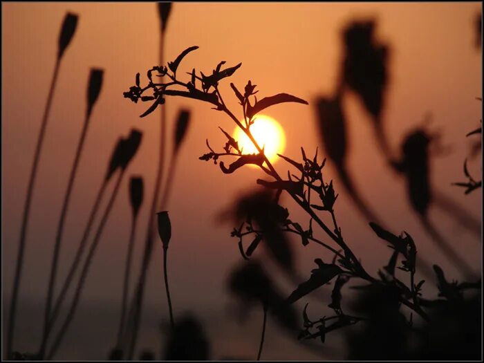 Тень от человека. Даже ни тени. Даже ни тени. Тень фото. Фальшивая фотография друга.