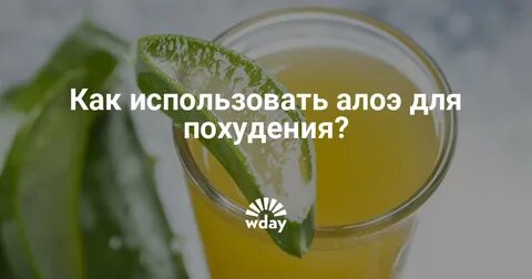 Алоэ для похудения отзывы