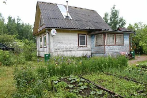 Мшинская луга