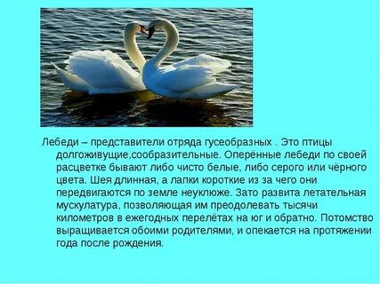 Литература 4 класс лебедушка ответы на вопросы