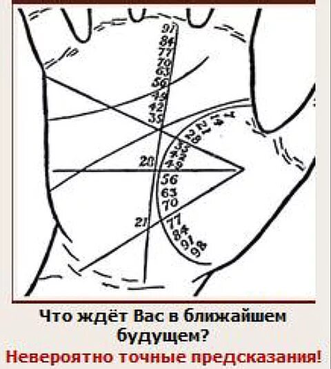 Возраст на линии жизни. Разметка линии жизни по годам. возраст по линии жизни. линия жизни разметка по возрасту. как определить возраст по линии жизни.