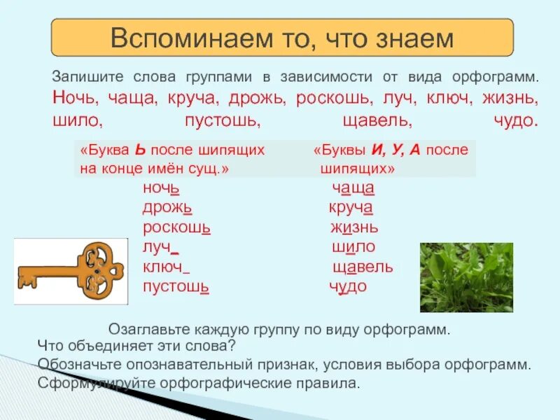 Щавель найти слова. Орфограмма в слове щавель. Орфограмма в слове чаща. Орфограмма в слове чудеса подчеркнуть. Щавель орфограмма в слове подчеркнуть.