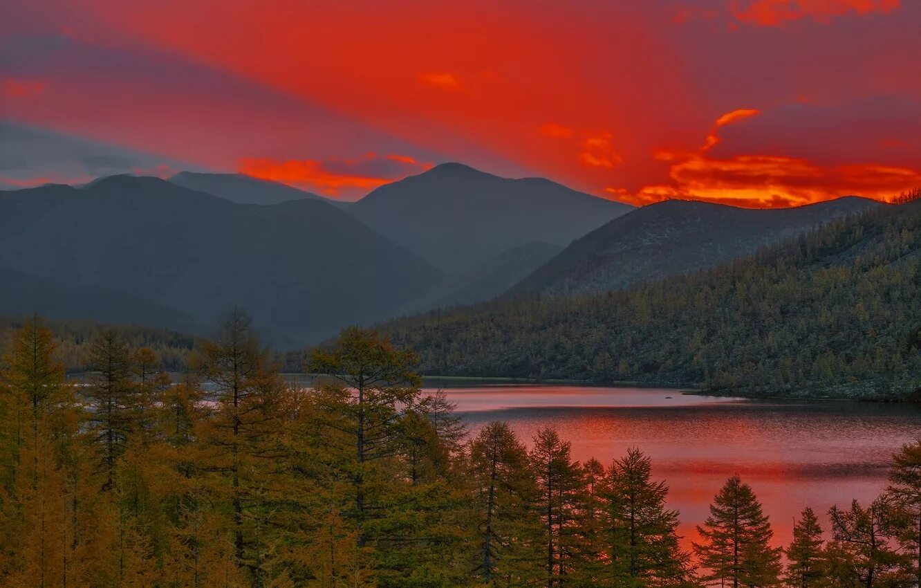 Озеро танцующих хариусов. Озеро танцующего хариуса магаданская область. Озеро джека лондона магаданская область. Озеро джека лондона хариус. Озеро джека лондона, магадан.