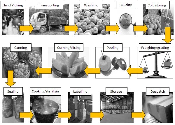 Sample processing
