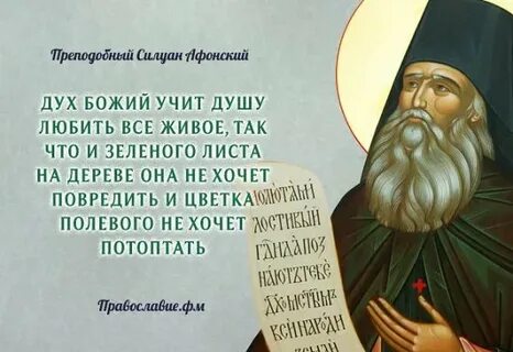 Чему учит душа