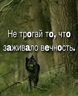 Трогайте тома