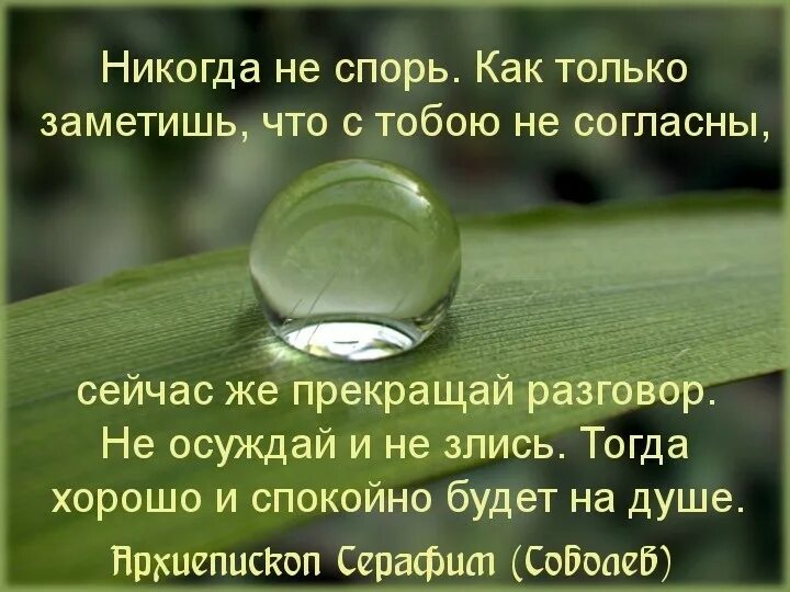 Перевод разговора на другую тему. Разговор прекратился. Разговор прекратился. Конец общения. Разговор прекратился.