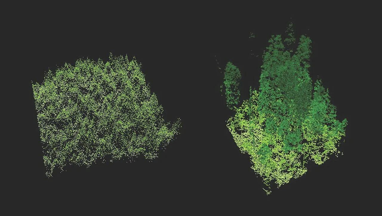 Лидарная съемка. Лидар. лидарная съемка леса. lidar360 forestry. лес шейп.