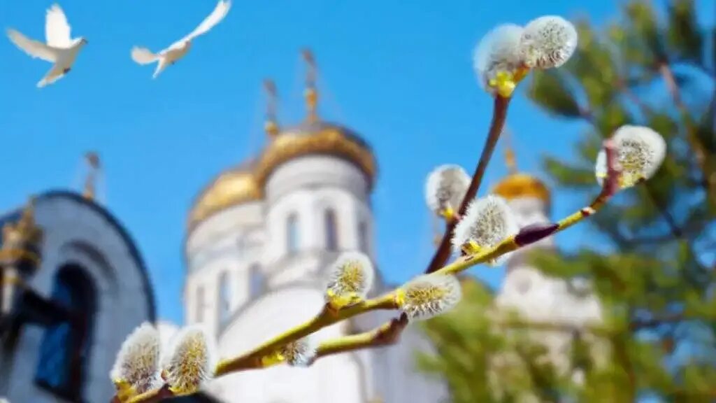 Какого числа вербное воскресенье. Вербное воскресенье в церкви. вербное воскресенье 2025 йошкар-ола. вербное воскресенье в вильнюсе. с вербным воскресеньем.
