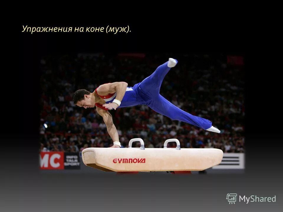 Гимнастика происходит от греческого gymnastike gymnazo обозначающего. Упражнения на коне (муж.). слайд упражнения на коне гимнастика. гимнастический конь презентация.