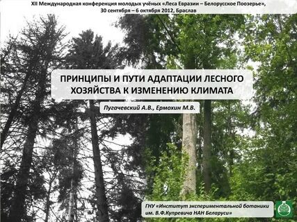 Ученый лес
