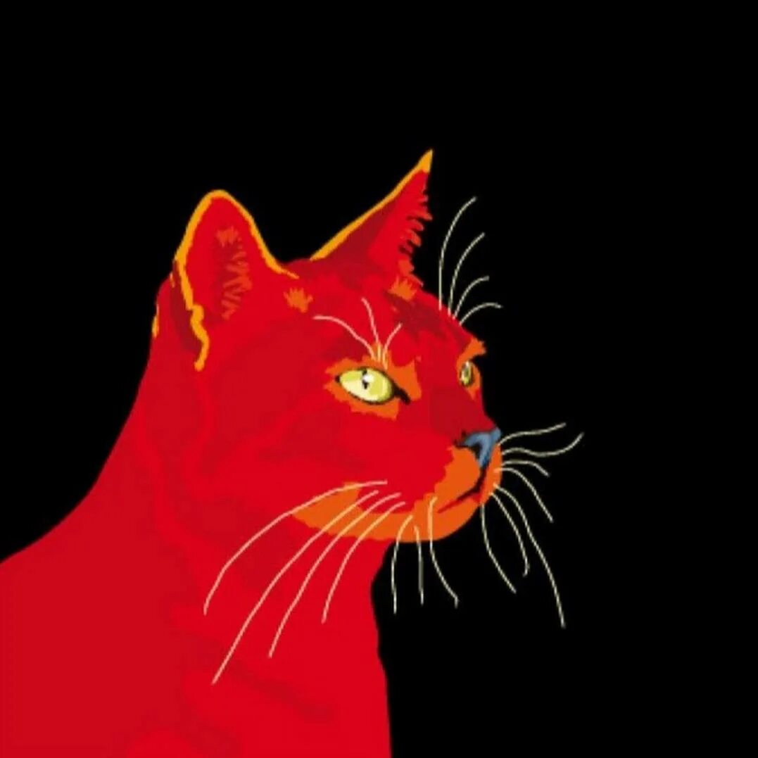 Ред Кэт ред Кэт. Красный кот. Красный кот Red Cat. Кот на Красном фоне. Про red cat