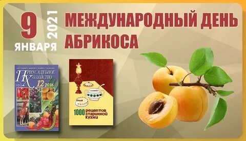 День абрикоса