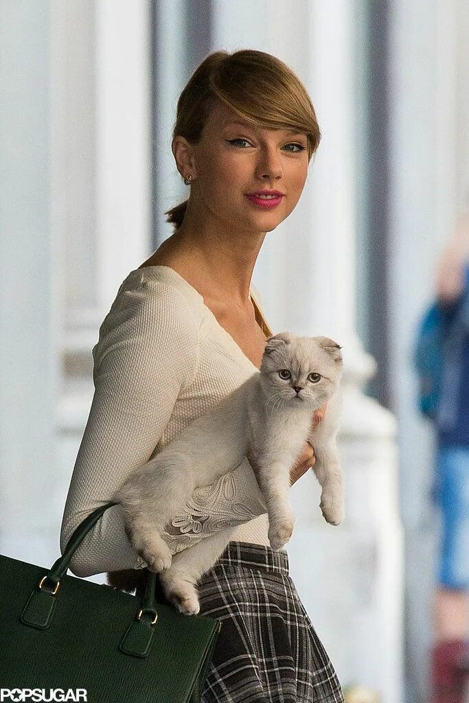 Swift cat. Тейлор свифт cat мередит. кошки тейлор свифт бенджамин. оливия тейлор свифт. тейлор свифт и ее кошки.