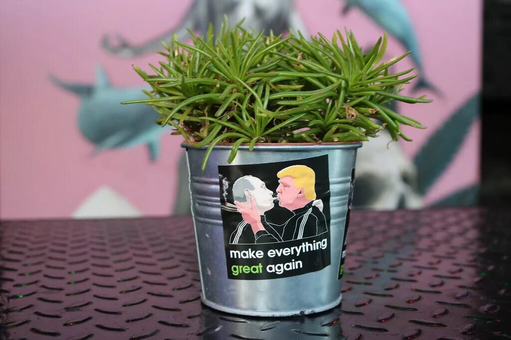 Everything again. Make everything great again. everything is great.