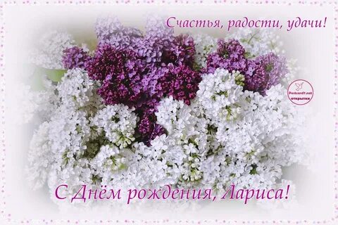 Красивую открытку поздравление ларисы