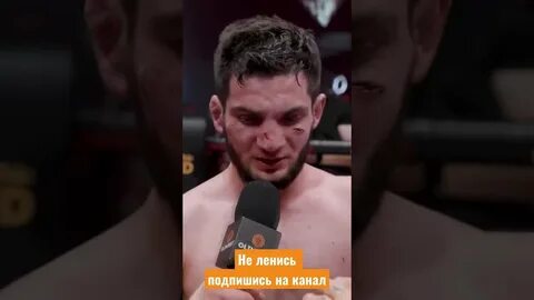 Магомед зайналов боец веном