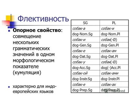 Собачий морфологический