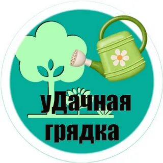 Удачная грядка