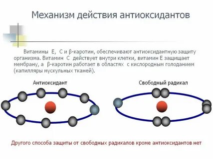 Действие механизмов защиты