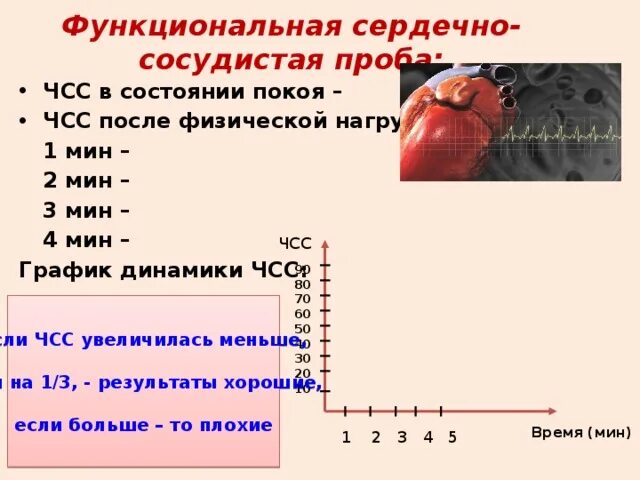 Работа функциональная сердечно сосудистая проба. Частота сердечных сокращений в состоянии покоя. График функциональной сердечно-сосудистой пробы. ЧСС В состоянии покоя ЧСС после физической нагрузки. Функциональная сердечно сосудистая проба вывод.