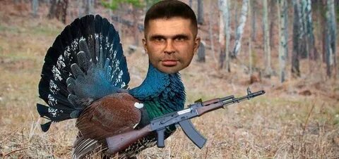 Сталкер глухарь