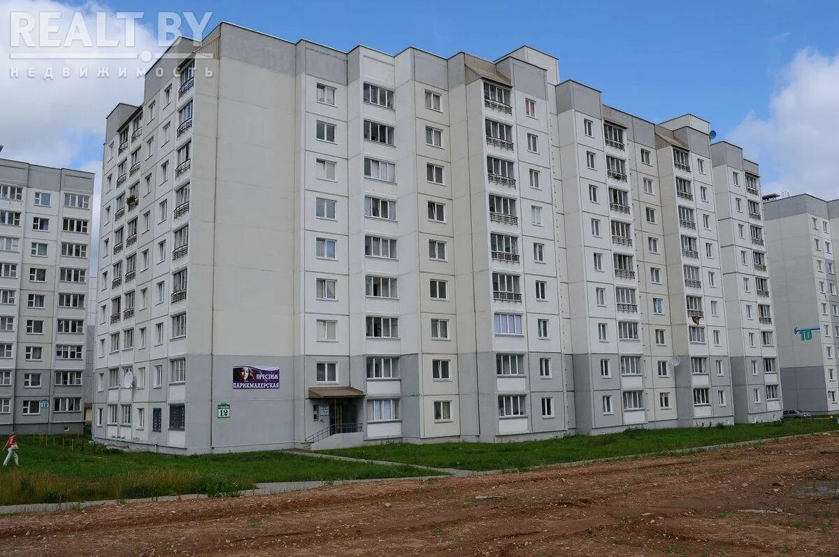 Пиджеон голубь. Улица голубка. Красивые голуби. Сизый голубь городской. Белый голубь.