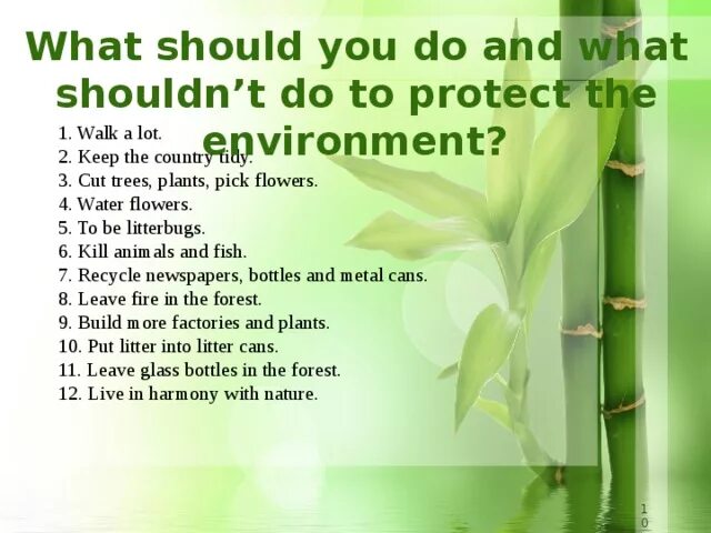 What can we do to protect the environment. What can you do to protect the environment. What should we do to protect the environment. Environment топик. Reading about ecology